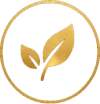 Wellness assessments